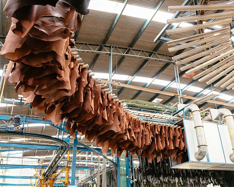 A Complete Guide to the Different Types of Leather - WP Standard