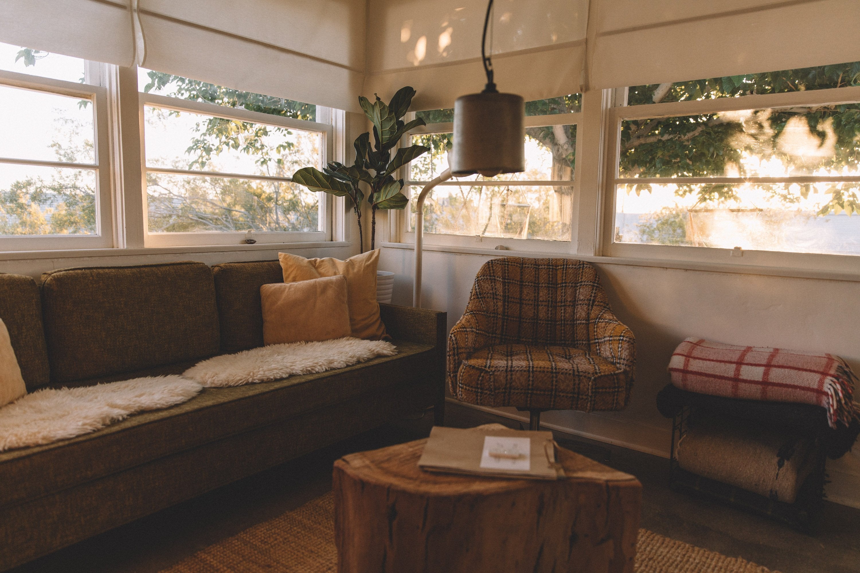 Mottled sunshine alights on the windows of a cozy living room with a leafy fig tree and pendant lamp. A yellow plaid captain's chair abuts a pleasing midcentury couch and a magazine rests on a tree stump coffee table.